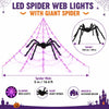 Illuminated Halloween Spider Web Lights