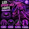 Illuminated Halloween Spider Web Lights